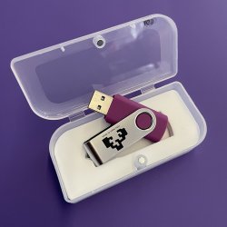 MEMORIA USB 4GB MORADO UPV/EHU