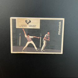 IMAN DE MADERA PILOTARIAK