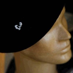 TXAPELA LOGO UPV/EHU