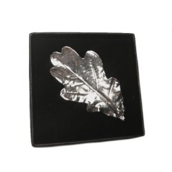 BROCHE ROBLE PLATA 5...
