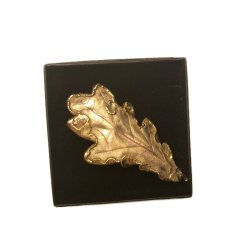 BROCHE ROBLE ORO NATURAL 5...